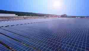 中美硅晶与红龙扑克光电携手战略合作